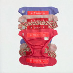 Lot de 4 culottes T.MAC d'occasion